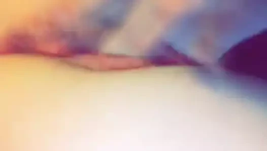 Sıkı yalnız kedi yalvarıyor için horoz