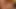 Redhair kızıl kıllı amcık yalıyor sikişiyor
