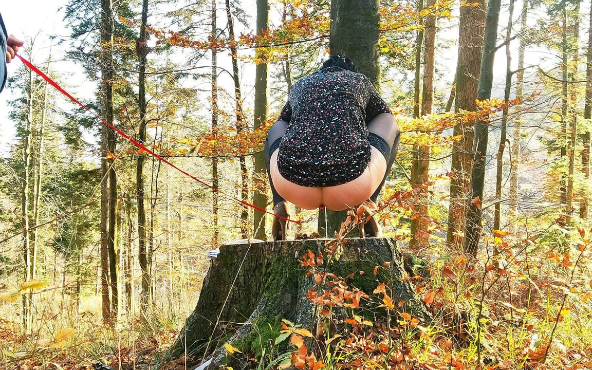 Anal Göt Tıkacı Sidik Fahişesi