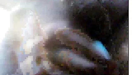 Realy web kamerası11