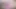 Japon seksi kız, Suzuna Shiraishi, sanal gerçeklikte sikiliyor.