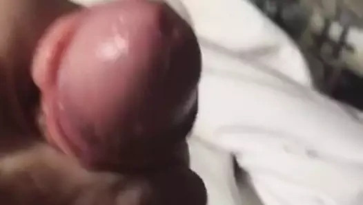 benim kısa şişman horoz