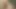 Sibylle Rauch Clip 6