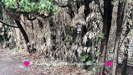 Kütüphane perisi lezbiyen foray - cliff media productions