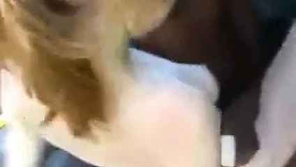 siyah damızlık yok bir minyon kızıl