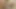 Swingersex ganz Wien