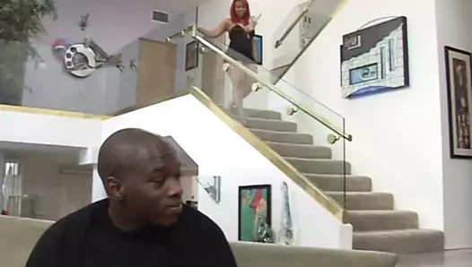 Büyük siyah horoz benim kedi nüfuz!