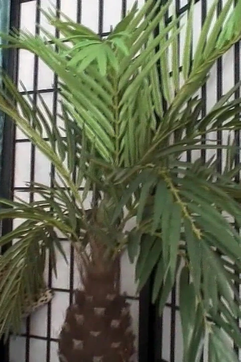 Возбужденная бабушка мастурбирует, а затем трахается