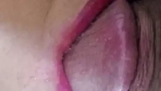 emme horoz yakın çekim