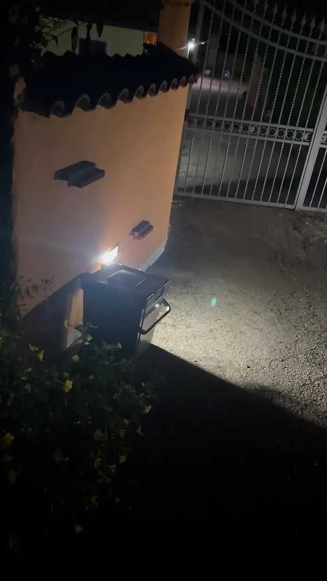 Sokağın ortasında mastürbasyon yapıyor