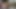Viri'nin seksi yağlı tabanları