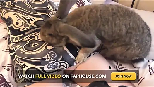 Fransız iyi sürtük, götünü ve amını kırıyor, saten iç çamaşırlı, çoraplı ve merhaba