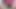 Büyük Poposunda Dildo'yu Çok Seviyorum.