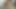 Arap porno filmi onu benimle ders çalışması için aradım iyi anladım