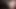 Latin domaltmalı şenlik
