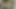 Şaşırtıcı güzel Arap, oral seks için hazır - Arap gay