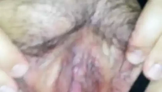 Oynama ile daha fazla arasında ona dev ssbbw kedi