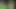 Bosnian_beauty yeni yıl kralı büyük zenci