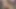 Minyon tatlı pepper xo hayranları için sert sikişmeden önce sert yarağını ellerine ve ağzına alıyor