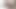 Horoz emme latina karma eğitim yapan kedi yaladı
