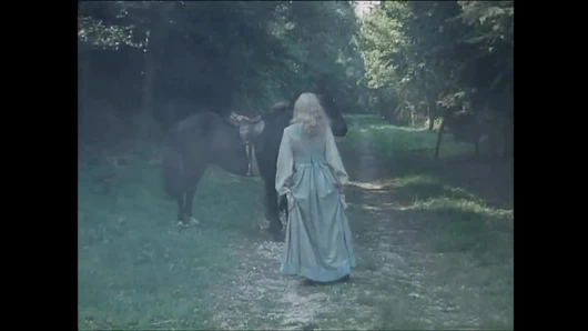 Robin hood xxx - (full hd yeniden şekillendirmede orijinal versiyon)