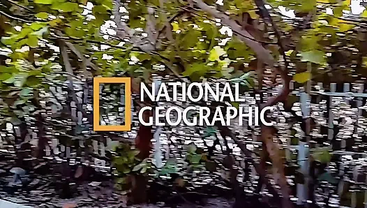 Goon oda vol.1 sikişiyor yüze boşalma