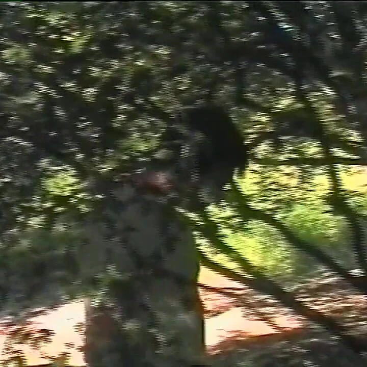 Brazil Nuts, bölüm 1