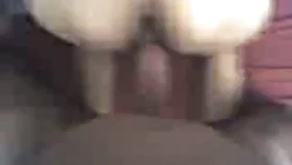 MINHA OUTRA CACHORRA