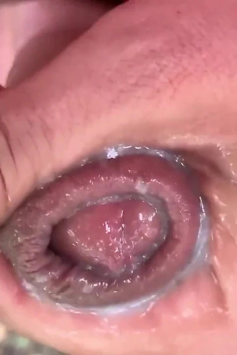 Precum ile glans'a yakın çekim ve yakın çekim boşalma sızdırıyor - kesilmemiş yarak