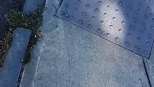 KUKKIWON MUSULKENPO KARATENOEL