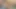 Vr bangers tutkulu hakkında kedi vr porno