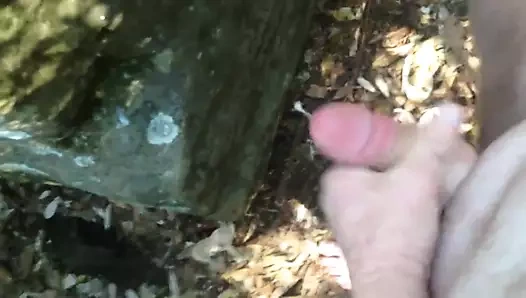 Çıplaklar plajında ​​çalıların arasında masturbasyon yapmak