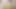 Sert yakın çekim sikiş seks videosu, Hintli kadın erkek arkadaşı tarafından sikiliyor