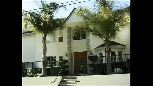 Sarışın bir horoz istedim