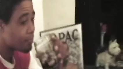 Elma arılarının sahibi, kediden 4 bedava yemek sikişmesini istiyor