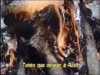 Video ön izlemesi