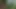 Die grosse Analparty, 5 Schlampen, 5 Hengste
