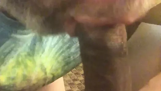 Yaşlı genç zenci yarağını emiyor döl yutuyor