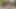 kararlı olgun sarışın parmaklar kedi