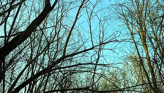 Güzel gizemli yabancı sert sikişmek için ormana çağrıldı (bakış açısı)