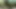 Family Fantasy: I'm Unfaithful To My Cuckold Boyfriend With My Stepfather In The Woods