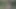 Ormanda Bir Yoldan Geçen Tarafından Sevişiyor!