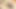 Stepbrother Fucking 18 Plus Stepsister Virgin Tight Pussy First Time Sex Creampies
