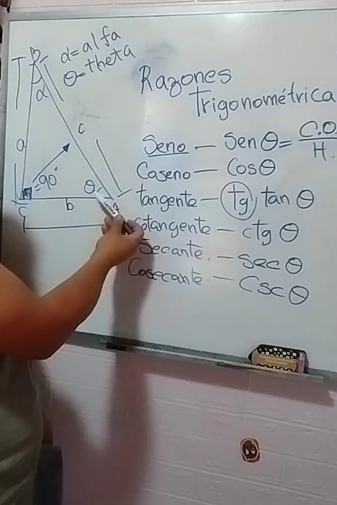 Trigonometri: Trigonometrik Oranlar