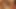 Hintli tamil dusky karısının gizli ilişkisi! Gavat büyük siyah götlü anal, oral seks ve göğüslere boşalmayı filme alıyor - indianhotwifex