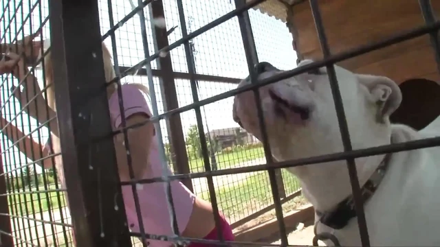 Küçük fahişesini büyük yarağıyla sikiyor