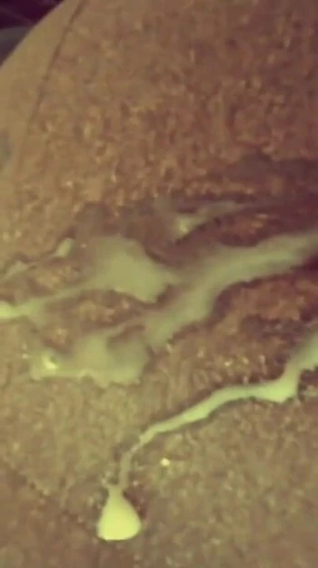 Ключевой момент из "мой арендодатель приходит, чтобы собрать арендную плату без презерватива"