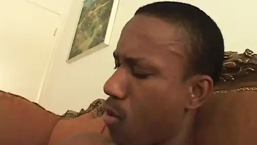 Büyük memeli siyah tombul kıllı amcık sikişiyor... ağzına boşalma