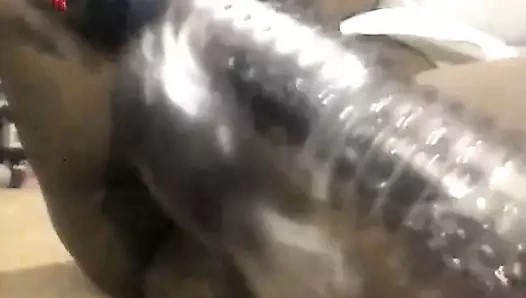 Aşk phat kedi oyun 5