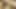Beyaz horoz için güçlü bir arzu ile 22 yaşındaki Taylandlı milf!